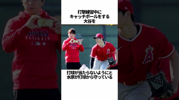 「大谷翔平と水原一平のラブラブエピソード」の雑学 #野球 #大谷翔平と水原一平のラブラブエピソード #野球解説