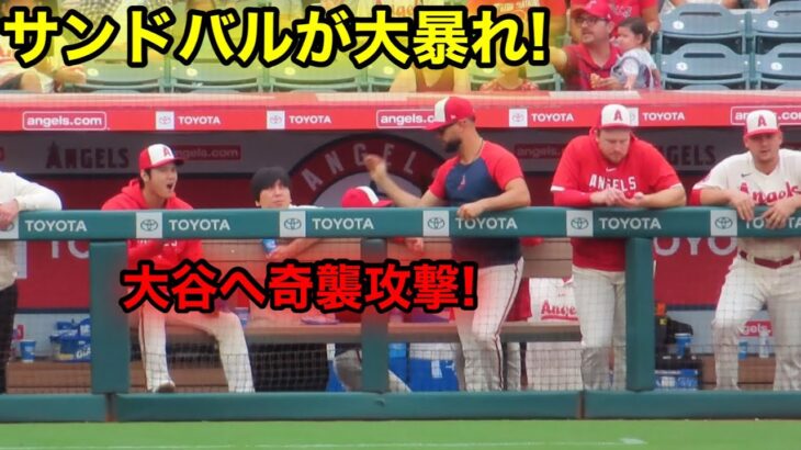 「衝撃映像」大暴れのサンドバル！大谷へとばっちりを喰らわす！【現地映像】