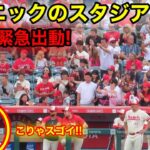 大谷が登場、スタジアムが係員出動の大パニック！【現地映像】