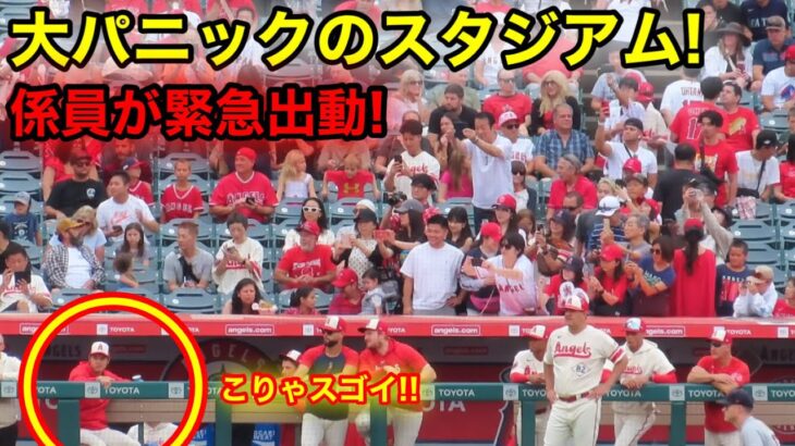 大谷が登場、スタジアムが係員出動の大パニック！【現地映像】