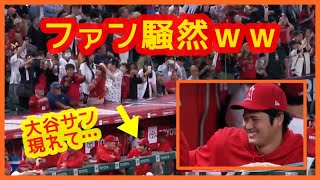 【今季閉店も･･･】大谷翔平いきなりベンチに現れファン騒然ｗスタジアムが揺れますｗｗ（＋打者リーグ成績！ホームラン王の行方は？）