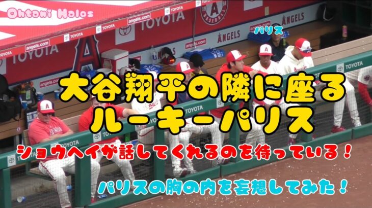 ダグアウトの大谷翔平の隣に座るパリス！翔平が話してくれるのを待っているパリスの胸の内を妄想してみた #大谷翔平現地映像 #エンゼルス #野球