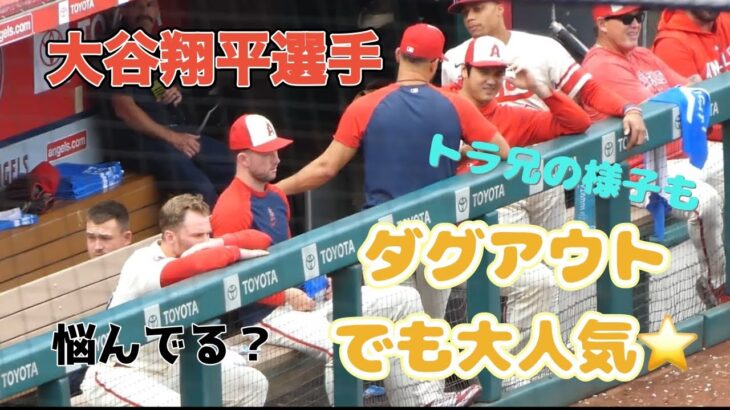 #大谷翔平 ダグアウトでの様子(続編) とっても楽しそう！トラ兄もちょこっと。（大谷選手㊗️手術成功！）