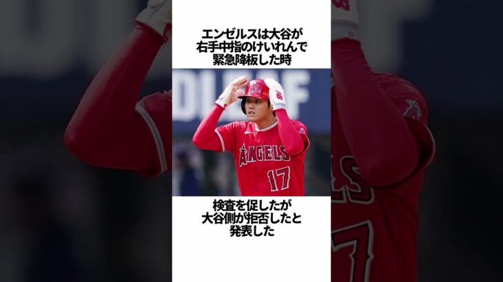 「大谷翔平の怪我に対するエンゼルスの謎対応」に関する雑学 #野球 #大谷翔平の怪我に対するエンゼルスの謎対応 #野球解説