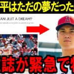 【大谷翔平】あまりにもいい記事だったので紹介します。