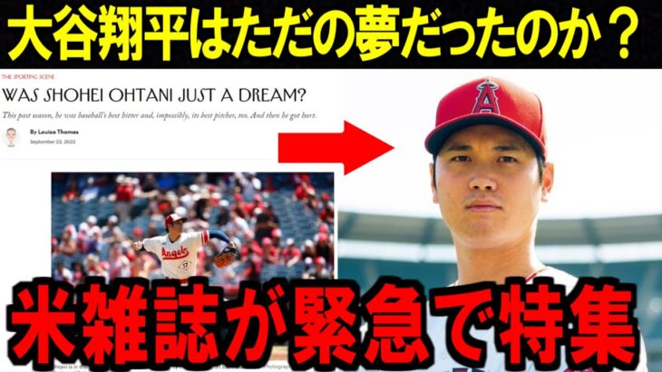 【大谷翔平】あまりにもいい記事だったので紹介します。