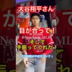 【現地映像】メッツでも大谷翔平さん神ファンサ！目合って手を振ってくれた！エンゼルス〜ニューヨーク駐在