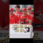 【⠀大谷翔平選手の日常⚾ 】いつもカッコイイ🥺︎💕︎最後に皆さんへ一言､､､🌸