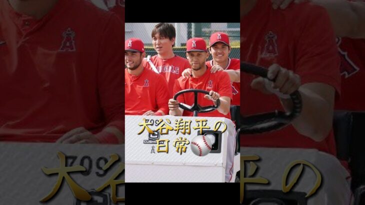 【⠀大谷翔平選手の日常⚾ 】いつもカッコイイ🥺︎💕︎最後に皆さんへ一言､､､🌸