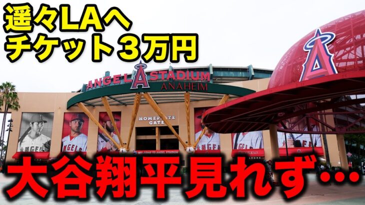 【大谷翔平欠場】残念すぎるロサンゼルス・エンゼルス観戦記