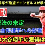 【必見速報】大谷翔平選手の未来が急転直下！右肘損傷で二刀流のスーパースターの運命は？大谷翔平選手と山本由伸選手の契約争奪戦