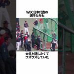 「大谷翔平の虜になってしまった人たち」に関する雑学 #野球 #大谷翔平の虜になってしまった人たち #野球解説