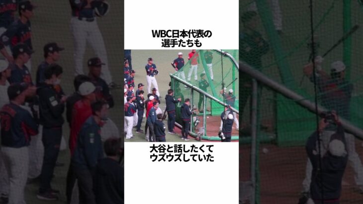 「大谷翔平の虜になってしまった人たち」に関する雑学 #野球 #大谷翔平の虜になってしまった人たち #野球解説