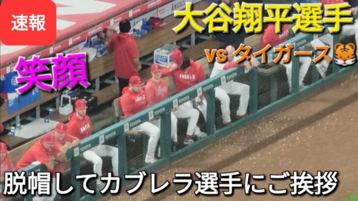 ミゲル・カブレラ選手にご挨拶！〜ダグアウトで応援〜【大谷翔平選手】vs デトロイト・タイガース〜シリーズ2戦目〜 2023.09.16