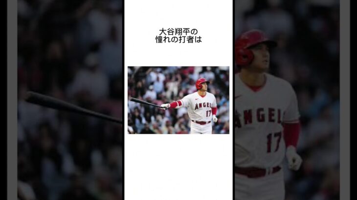 大谷翔平の雑学 #大谷翔平 #wbc #雑学