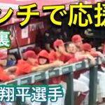 【ベンチで応援！大谷翔平選手‼︎】エンジェルス対オークランド・アスレチックス第2戦@エンジェル・スタジアム 9/30/2023 #大谷翔平  #ohtani  #エンジェルス