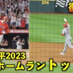 大谷翔平 2023年の最高ホームランランキングトップ５！【現地映像】WBC侍ジャパン・エンゼルス