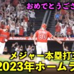 ついにメジャー本塁打王獲得！大谷翔平 2023年のホームランをまとめてみた！【現地映像】WBC侍ジャパン・エンゼルス