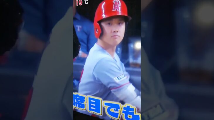 392 ラスティーの好きな大谷翔平　テレビに出てたよ #ラスティー #ぬい撮り #ぬいぐるみ #テレビ　#お泊まり会 #大谷翔平