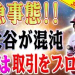 【緊急事態】 FA大谷翔平の状況が未曾有の混乱に陥っている！ソトがいきなり邪魔になった！