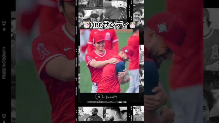 仲良しサンディHBD🎂 #shorts #大谷翔平 #shoheiohtani