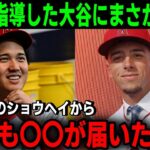 ベンチでネトにアドバイスした翌日に大谷翔平がまさかの行動に出る！！「大谷から何本も動画が届いたんだ。本当に感謝している」【MLB/大谷翔平/エンゼルス/海外の反応】