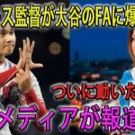 【MLB速報!!】ドジャース監督が大谷のFAに爆弾発言 ! ついに動いたわね…。米国メディアが報道する