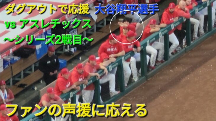 エンジェルスMVP授賞式のあとはダグアウトで応援【大谷翔平選手】vs アスレチックス〜シリーズ2戦目〜