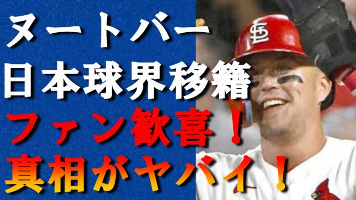 【驚愕】ヌートバーが日本球界NPB移籍が確定に日本ファンの歓喜が止まらない！『WBC』侍ジャパンで活躍したプロ野球選手のMLBクビ宣告に驚きを隠せない…