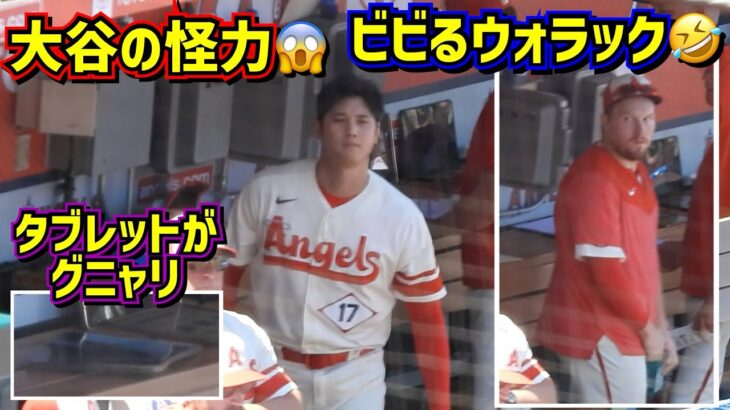 爆笑‼️大谷の怪力にビビりまくるウォラックが面白い🤣 【現地映像】ShoheiOhtani Angels