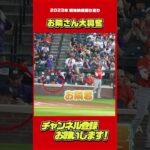 大興奮するのは君なのかーい！#大谷翔平 #Shorts