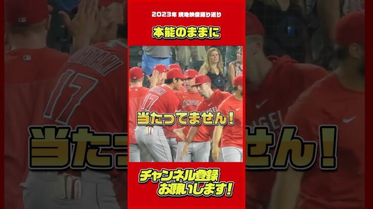 守っていきましょう。#大谷翔平 #Shorts