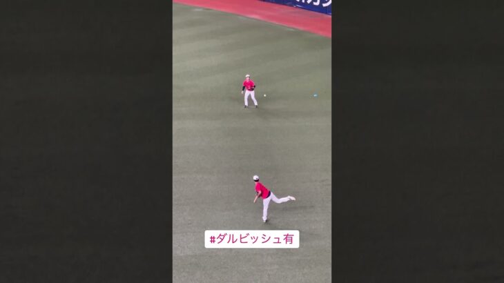 【野球】WBC 日本代表対阪神タイガース 試合前のダルビッシュ有投手のキャッチボール #shorts #フェチ動画 #神業