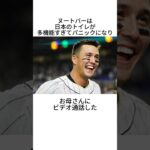 大谷翔平とヌートバーのWBC2023に関する雑学 #shorts #大谷翔平 #ヌートバー #wbc