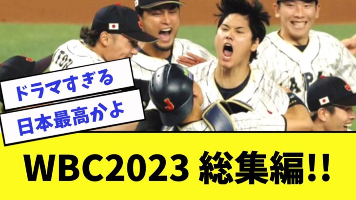 【総集編】何度見ても胸熱!WBC侍ジャパン感動名シーンまとめ/準決勝&決勝【2ch5ch】【なんJ】