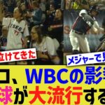 チェコ、WBCの影響でついに野球が大流行するwww【なんJ なんG野球反応】【2ch 5ch】