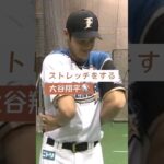 【⠀ストレッチをする大谷翔平選手 】大谷さん動画はchannelへGo٩( ‘ω’ )و♥♥