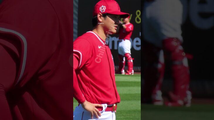 大谷選手まで数m… バランス良すぎカッコ良すぎる大谷さん #shorts #short #大谷翔平 #shoheiohtani #エンゼルス #angels #現地映像