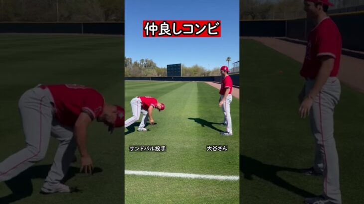 【大谷翔平】仲良しコンビ大谷サンドバル#mlb #大谷翔平 #サンドバル