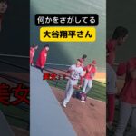 何かを探してる大谷翔平さん #大谷翔平 #ohtani #ホームラン王 #mlb #shorts