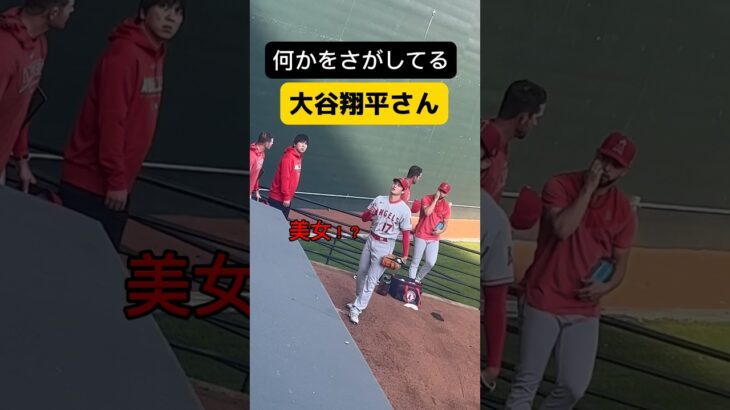 何かを探してる大谷翔平さん #大谷翔平 #ohtani #ホームラン王 #mlb #shorts