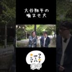 大谷翔平の噛ませ犬#shorts #雑談 #ミキ昴生 #トーク