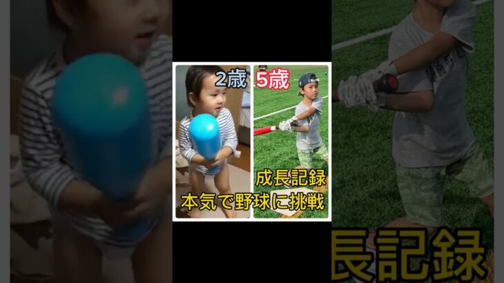 【覚悟を決めた５歳児】#shorts  #baseball #野球 #大谷翔平 #佐藤輝明  #幼稚園 #年長 #野球少年 #トレーニング #kids #甲子園 #子供 #成長記録