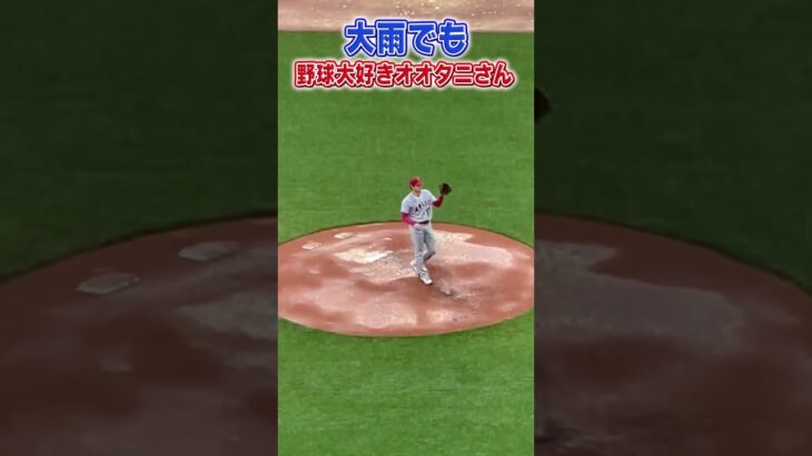 大雨でも野球がしたいオオタニさん　#shorts #ohtani  #大谷翔平