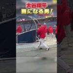 素振りだけでもずっと見てられる大谷翔平　#shorts #ohtani  #大谷翔平