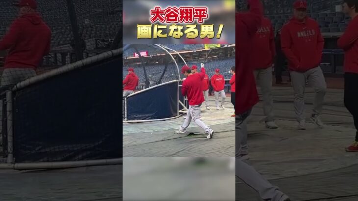 素振りだけでもずっと見てられる大谷翔平　#shorts #ohtani  #大谷翔平