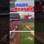 大谷翔平に大きな歓声を送る現地ファン　#shorts #ohtani  #大谷翔平