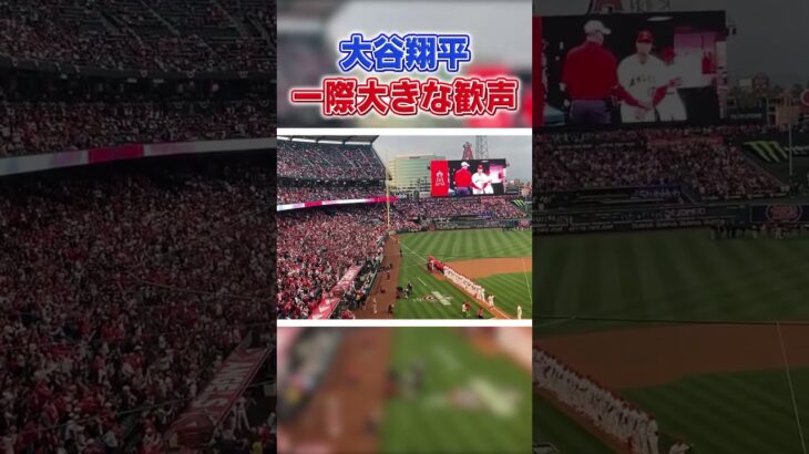 大谷翔平に大きな歓声を送る現地ファン　#shorts #ohtani  #大谷翔平