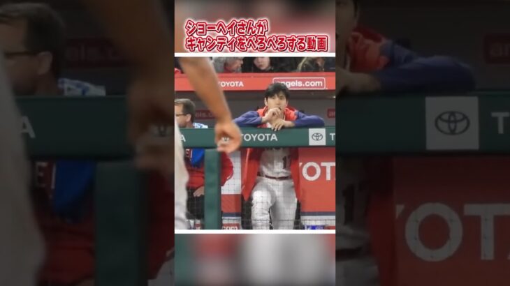 チュッパチャプスで糖分を補給する大谷翔平　#shorts #ohtani  #大谷翔平