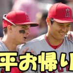 【大谷翔平】グラウンド登場にファン歓喜！「翔平！お帰りなさい！」